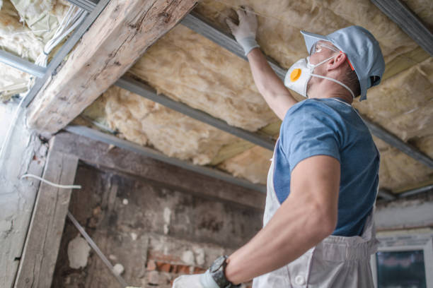 Best Insulation Inspection Services  in Sanford, ME