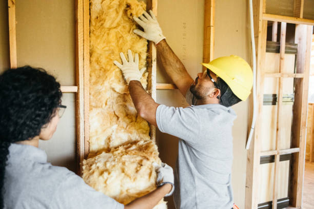 Best Insulation Replacement Services  in Sanford, ME