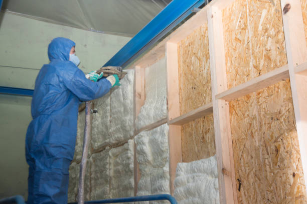 Best Professional Insulation Contractor  in Sanford, ME