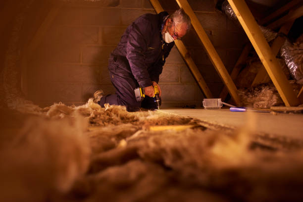 Best Home Insulation Services  in Sanford, ME